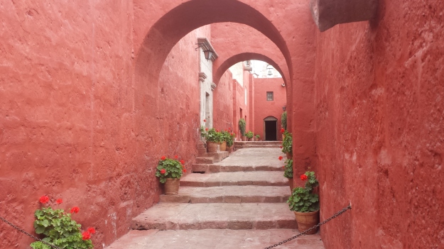 The miles of hauntingly beautiful courtyards and honeycombed arched alleyways of Monasterio de Santa Catalina. Along with Machu Picchu and Copper Canyon--this is one of my favorite places on Earth. 